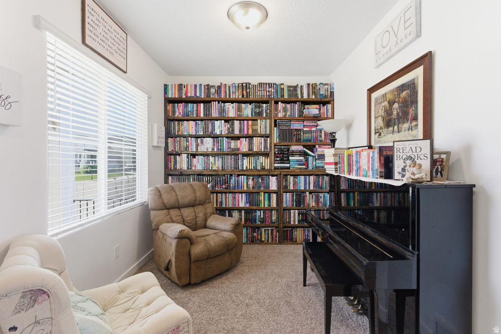 1202 S RAINTREE LN photo 5