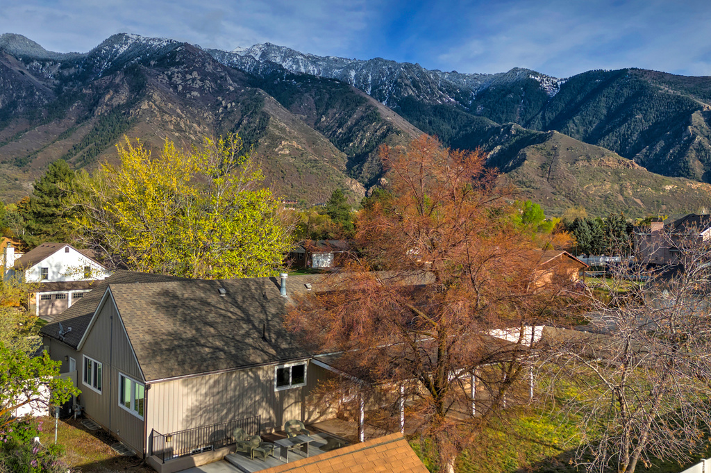 10750 S DIMPLE DELL DR photo 4