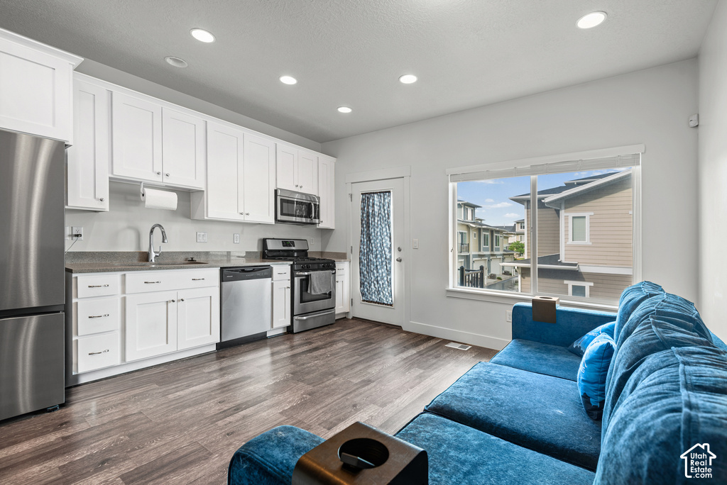 Contemporary kitchen featuring white cabinetry, stainless steel appliances, recessed lighting, and wood-finish flooring
