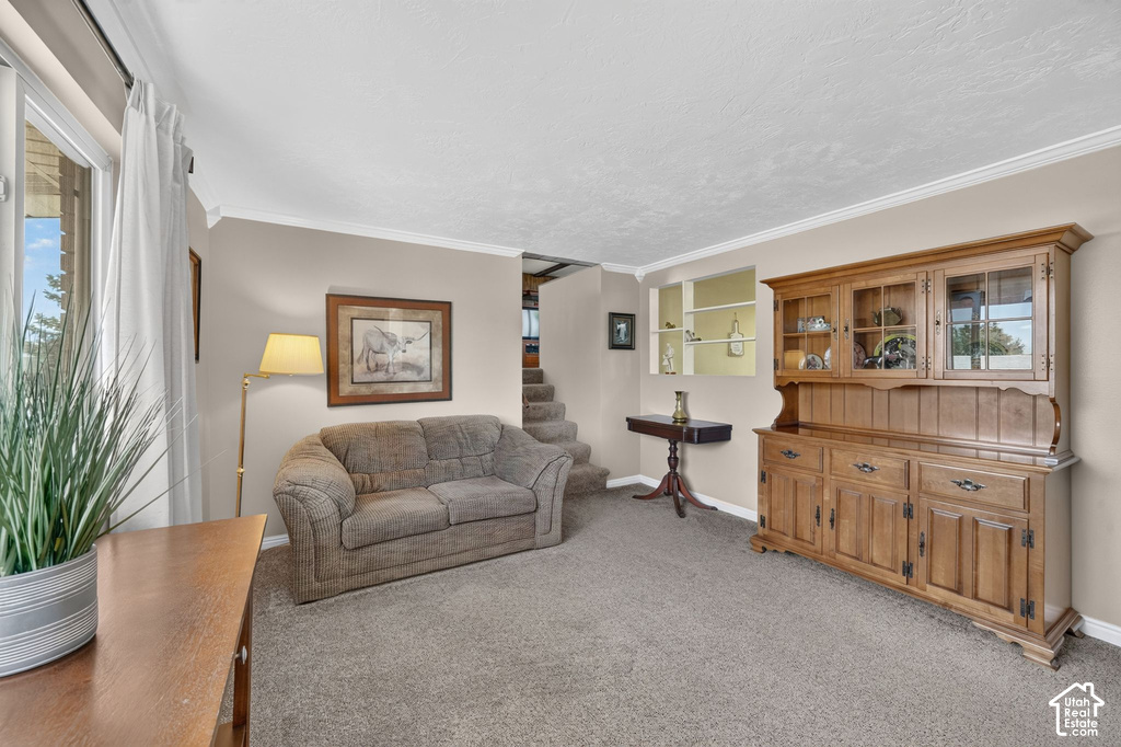2810 W 7268 S photo 3
