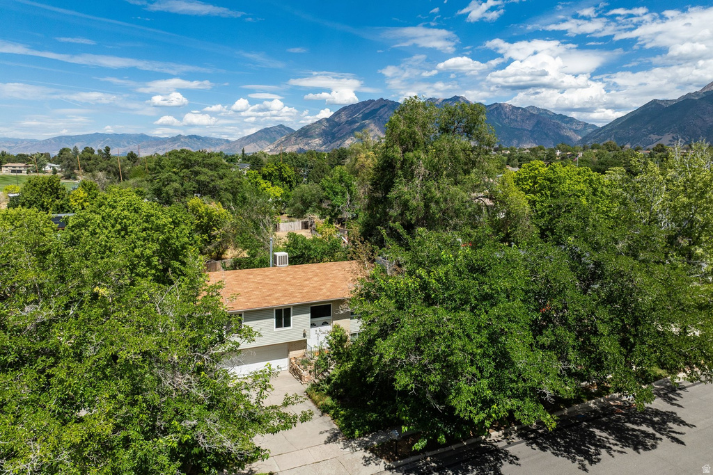1259 E QUAIL CREEK DR photo 4