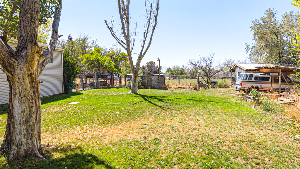 1723 N 1200 E photo 5