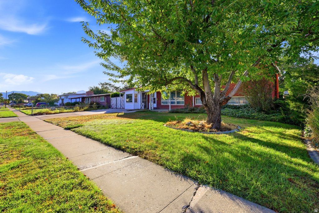 1487 W MANGO RD photo 4