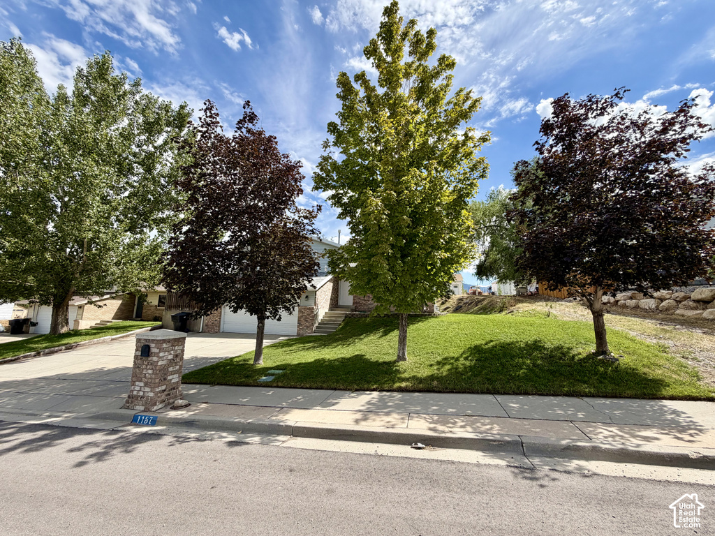 1157 S 680 W photo 5