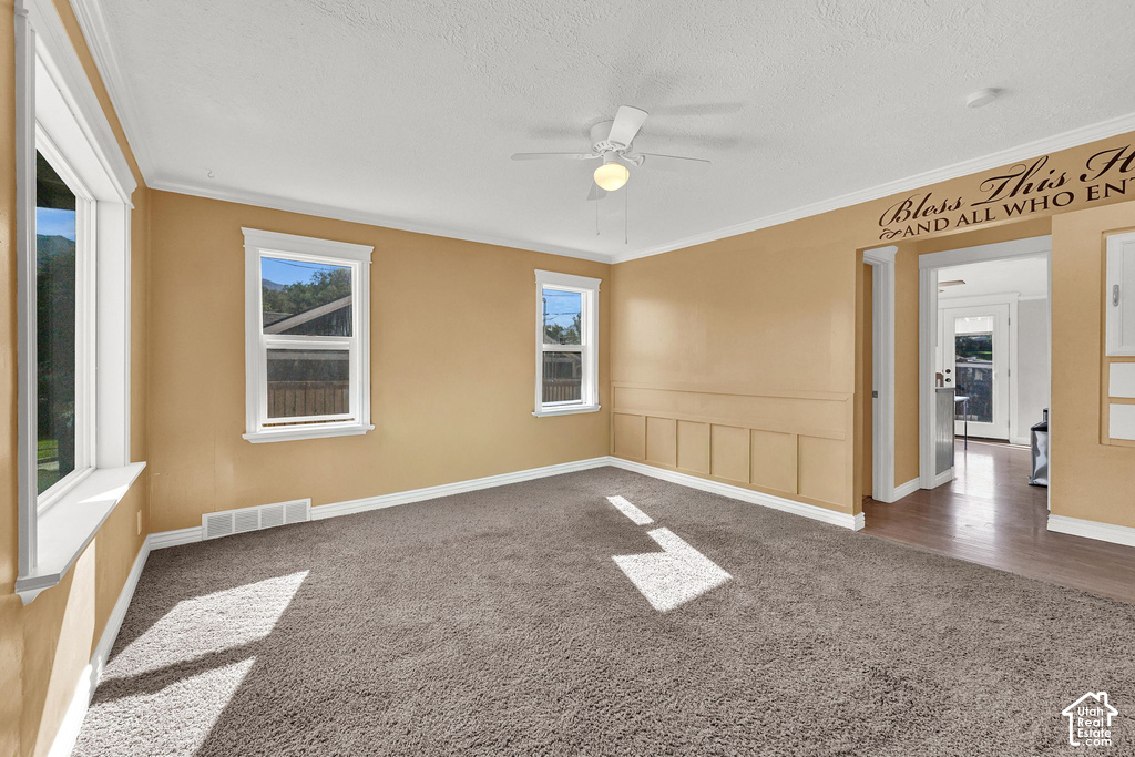 137 COUNTRY DR photo 5