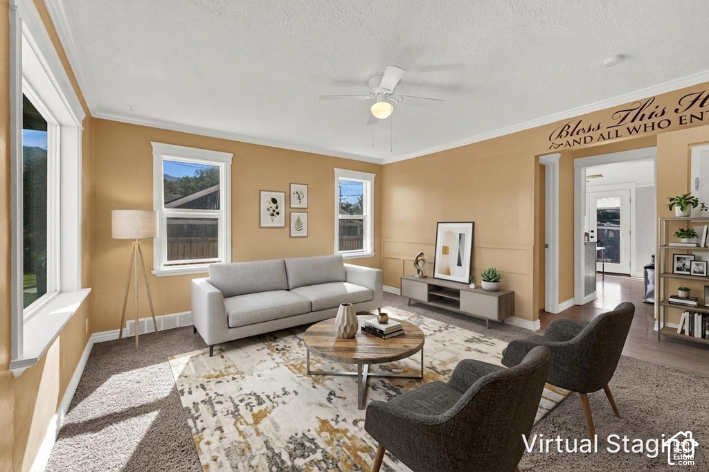 137 COUNTRY DR photo 4