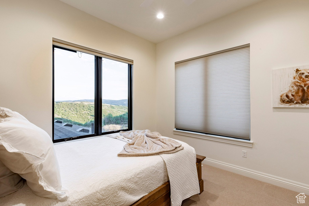 Recessed ceiling lighting, a large picture window, a secondary window with cellular shades, and neutral carpeting