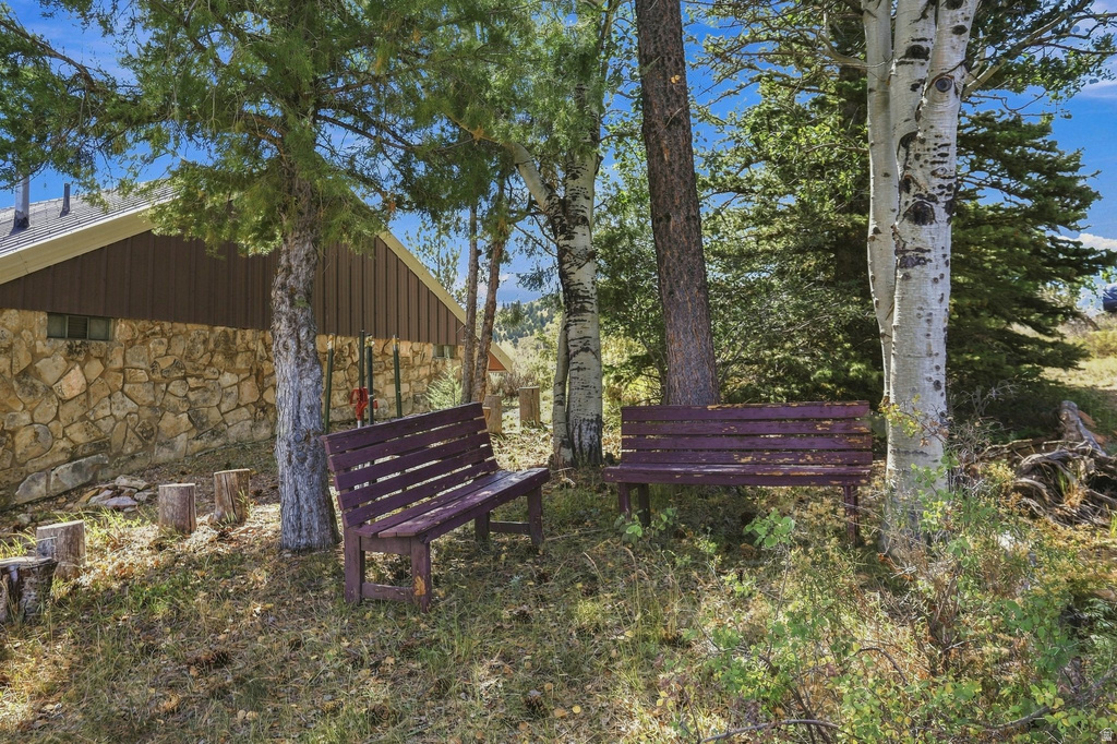 Listing Photo