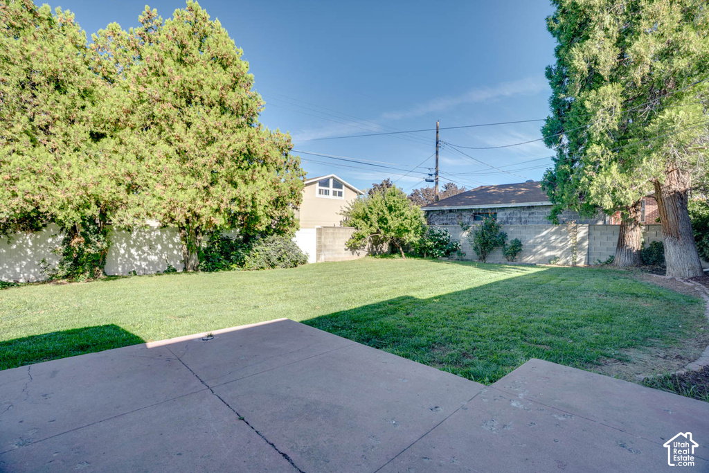 Expansive lawn with mature privacy trees and a concrete patio