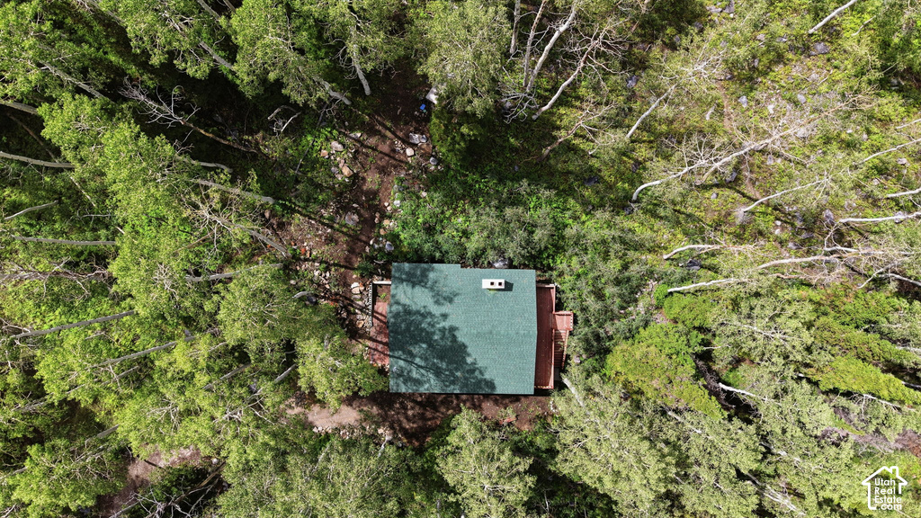 12290 E CAMP TUTTLE RD photo 4