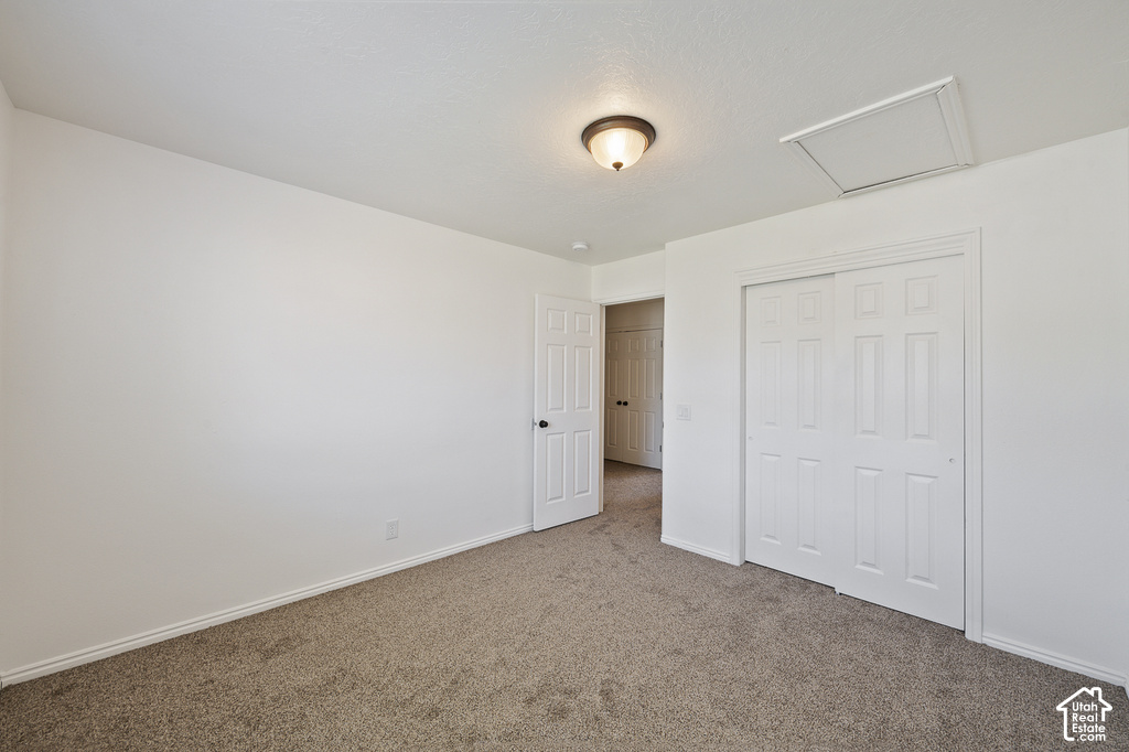 Neutral carpet flooring