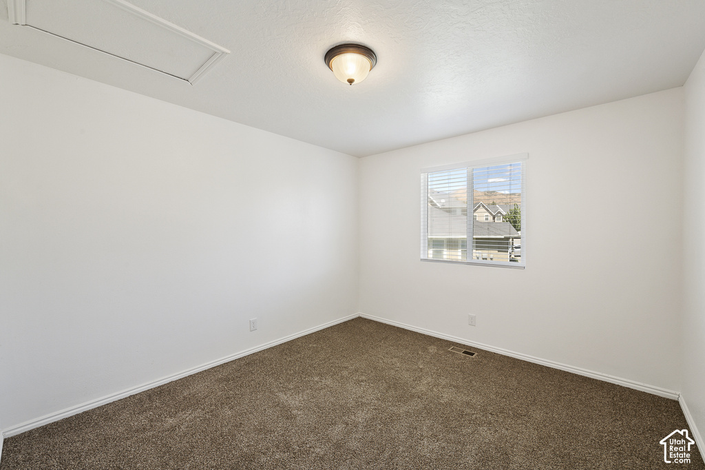 Neutral wall paint with textured carpeting, a single window with horizontal blinds, and a ceiling-mounted light fixture