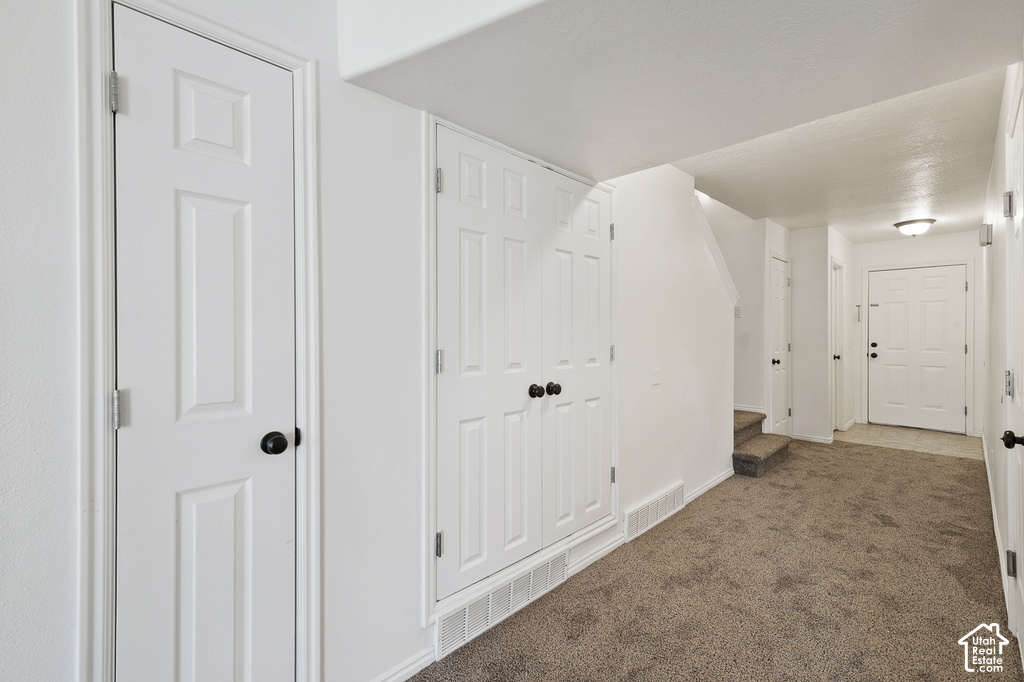 Entryway with textured carpeting, a white panel door, and a flush mount ceiling light