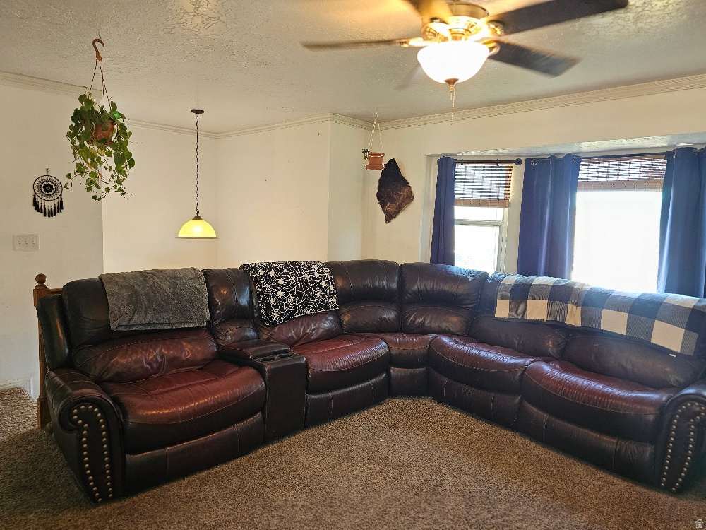 4689 W HILLSIDE DR photo 5