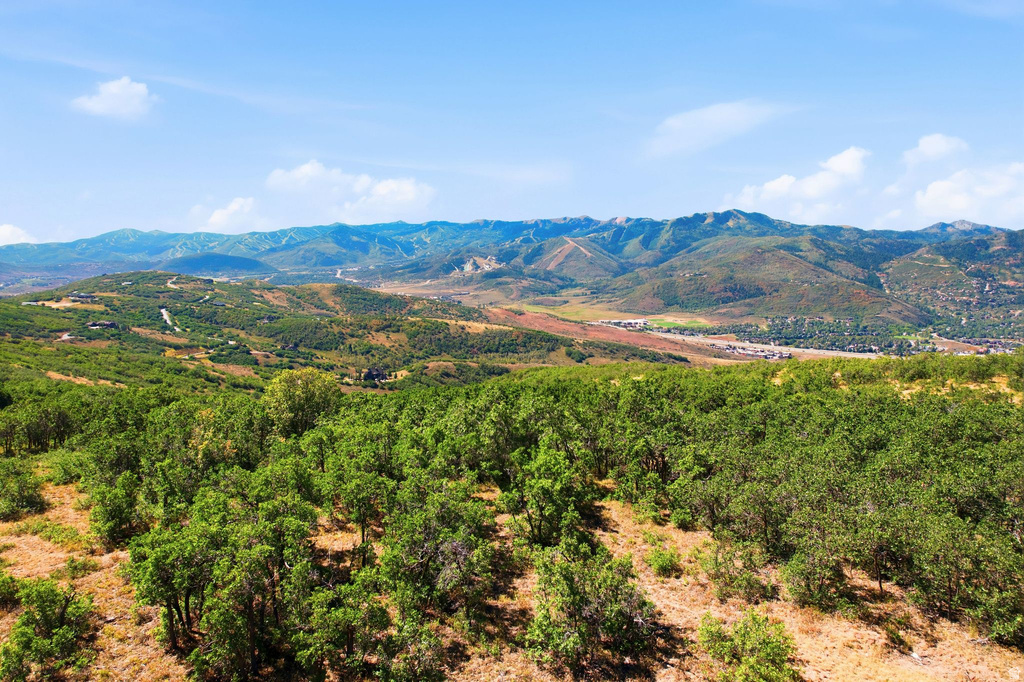 2063 Blue Grouse Ln #63, Park City, UT 84098