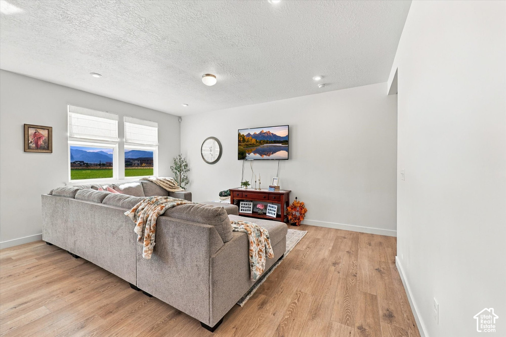 2433 W WYSTERIA DR photo 5