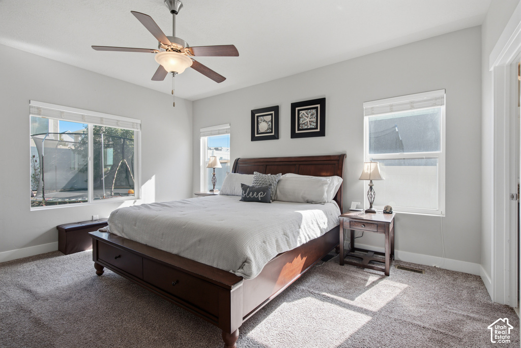 Neutral wall paint, ceiling fan, carpet flooring, multiple windows, and white window blinds