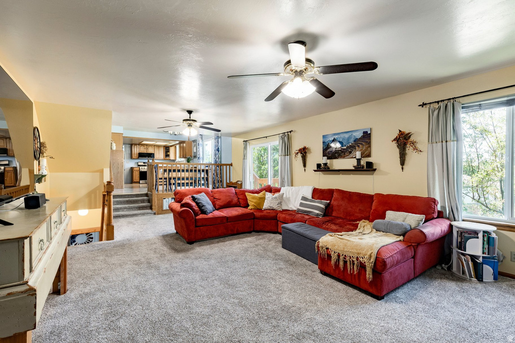 11548 S HIGH MESA DRIVE photo 3
