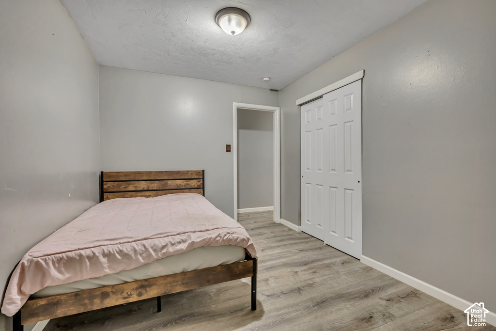 Wood-finish flooring, neutral paint palette, flush mount ceiling light, and white paneled sliding closet doors