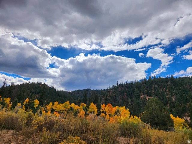 Bonnie Green Dr, Kanab, UT 84741