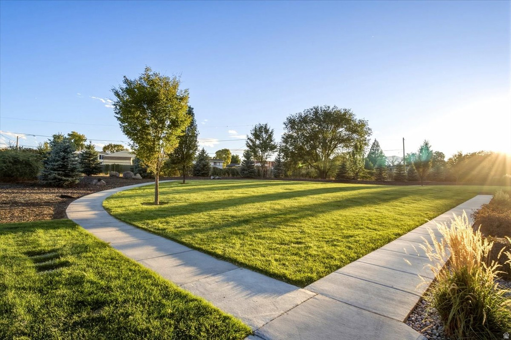 3833 W CARDENDEN LN photo 4