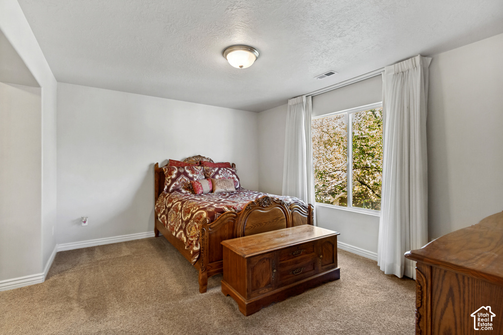 Carpeted flooring, neutral wall paint, and a large window with natural light