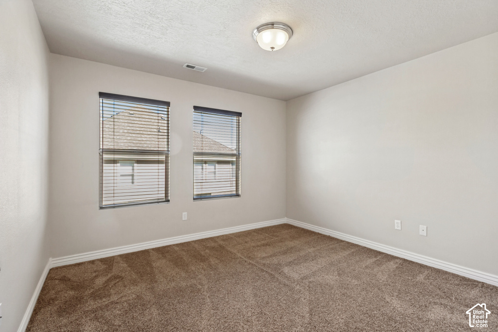 Neutral wall paint, plush carpet flooring, two windows with blinds, and an overhead flush mount light fixture