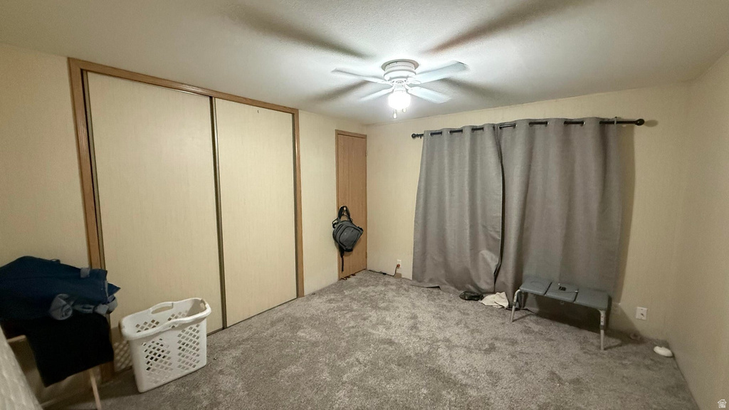 52 N 3950 W photo 4