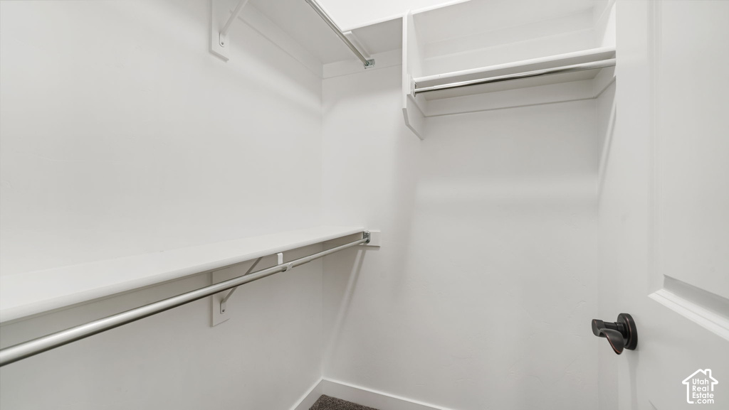White walls, built-in shelving, chrome hanging rods, and carpeted flooring