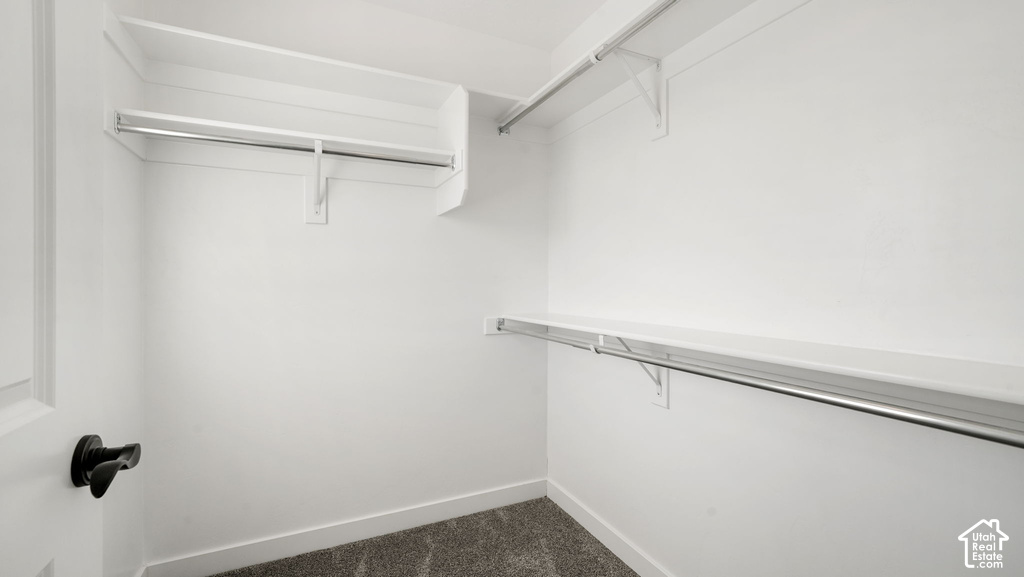 Walk-in closet with white walls, carpet flooring, and built-in shelving with hanging rods