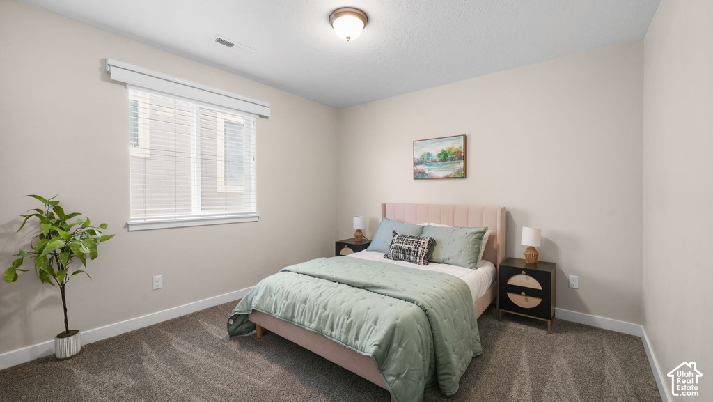 Carpeted room with a double window featuring blinds, a flush-mount ceiling light, and neutral wall tones