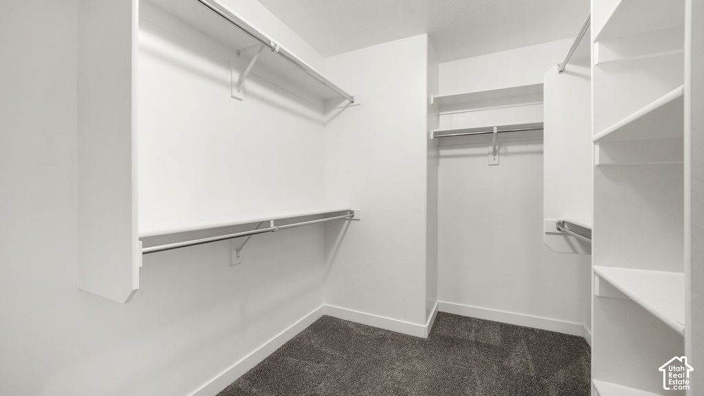 Walk-in closet featuring white built-in shelving, multiple hanging rods, and gray carpeting