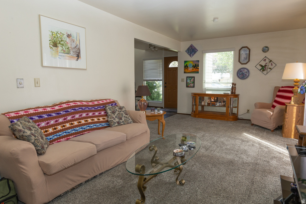 1310 S 200 W photo 5