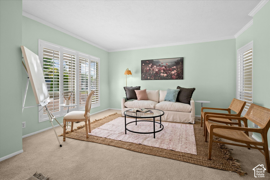 Wall-to-wall carpeting, crown molding, and a large window with white plantation shutters