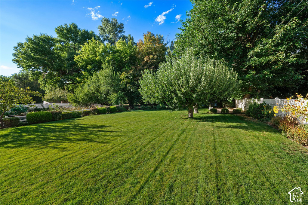 Expansive lawn space, mature trees, manicured hedges, and a privacy fence
