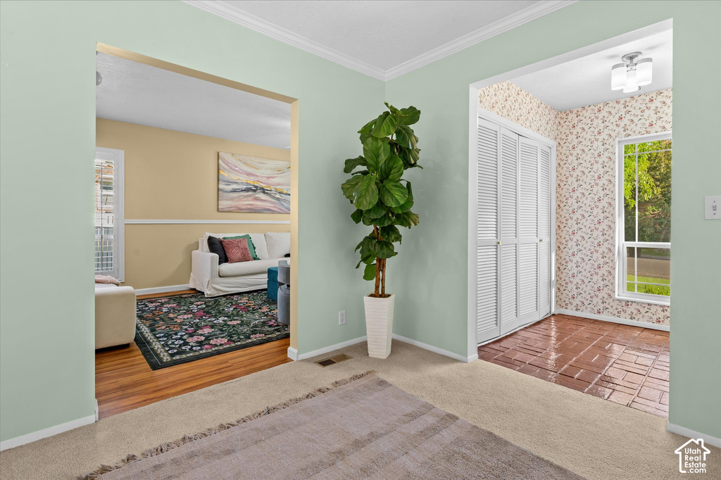 Carpeted flooring, crown molding, and a louvered closet door