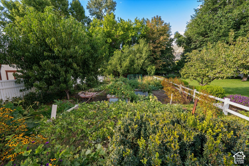 Expansive garden area featuring diverse plantings, perimeter fencing, and mature trees