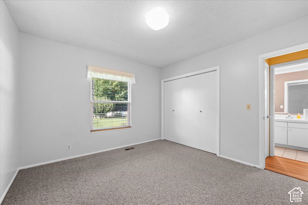 Gray textured carpeting and white painted walls
