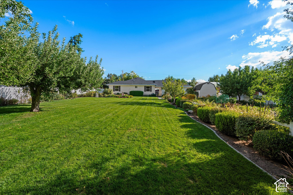 Expansive rear yard with a manicured lawn, established landscaping, mature trees, and a white fence
