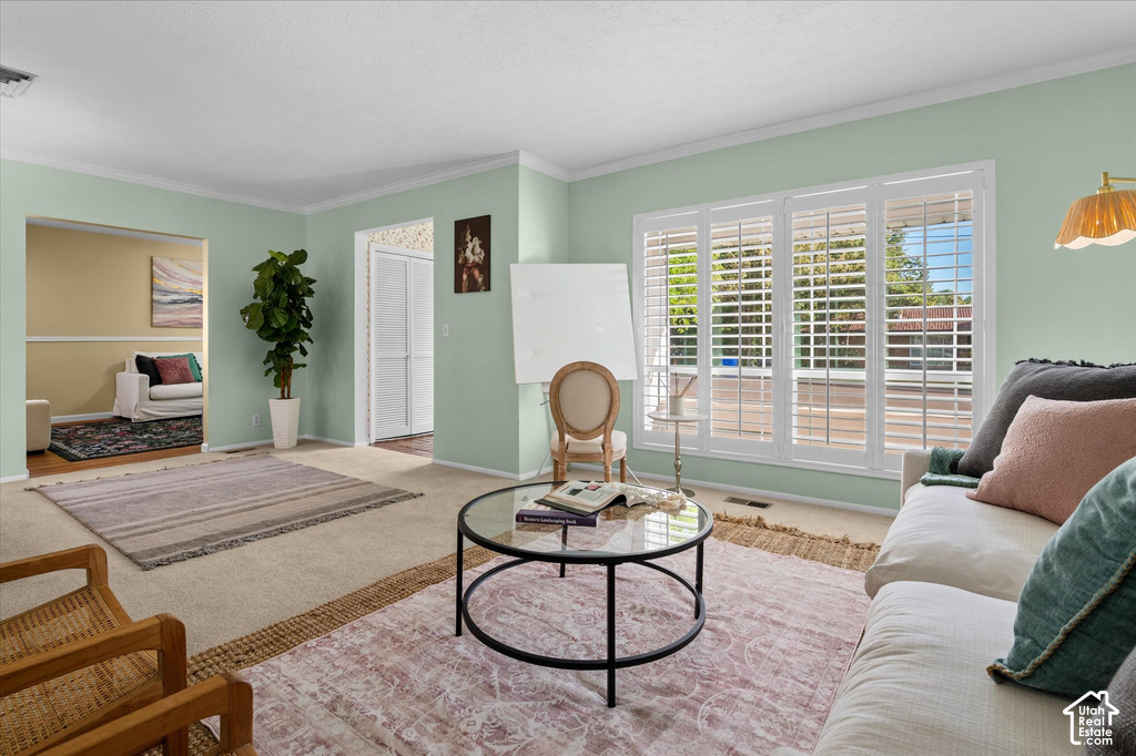 Expansive window with white plantation shutters, light green painted walls, and ceiling crown molding