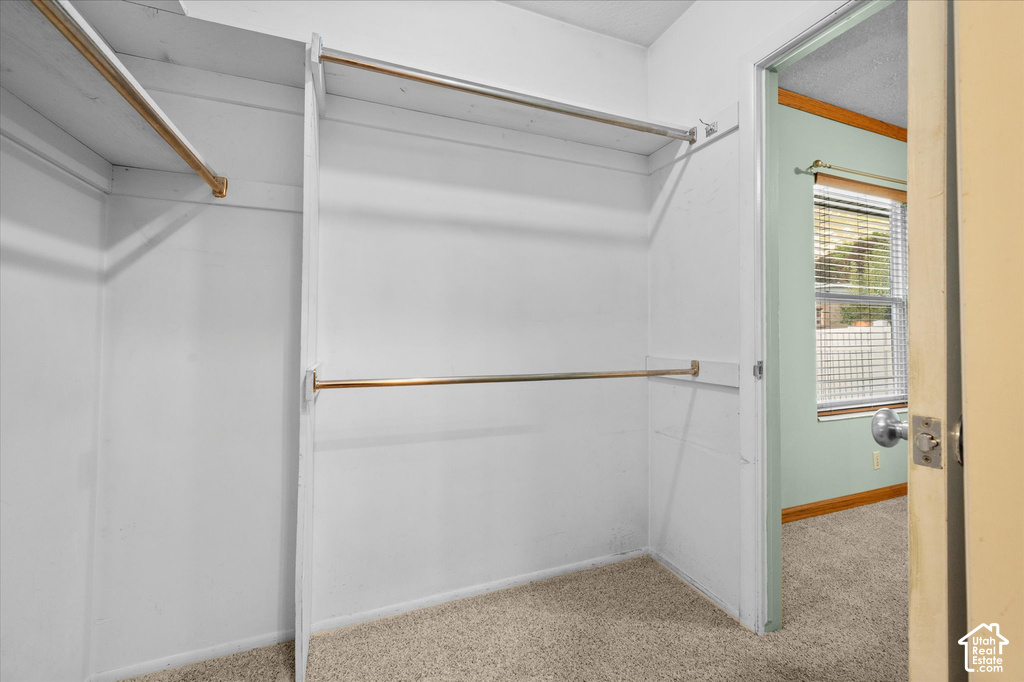 Open closet with multiple hanging rods and carpet flooring
