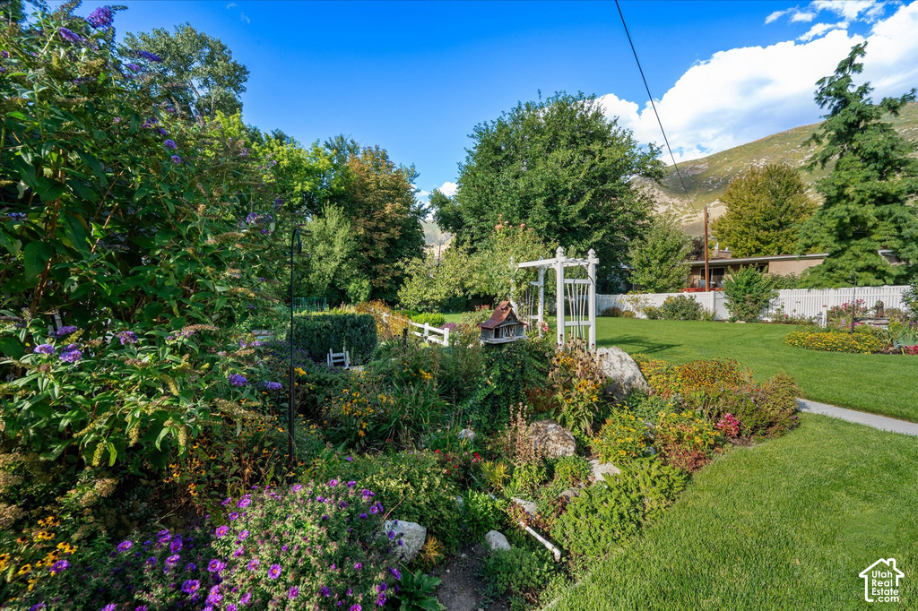 Expansive lawn area with mature trees and a white decorative arbor