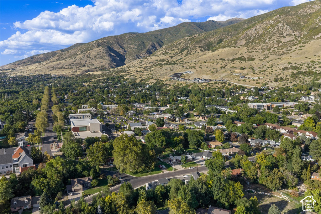 Mountainous backdrop, expansive tree canopy, residential properties, clear blue sky, distant paved roads