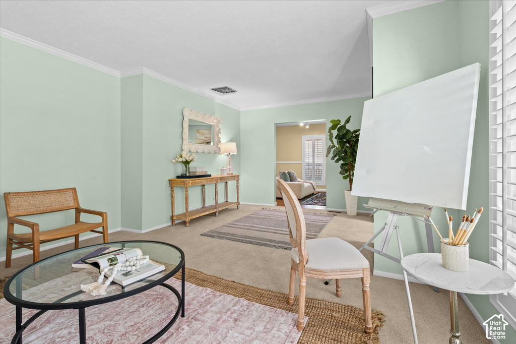 Carpeted flooring, crown molding, and plantation shutters