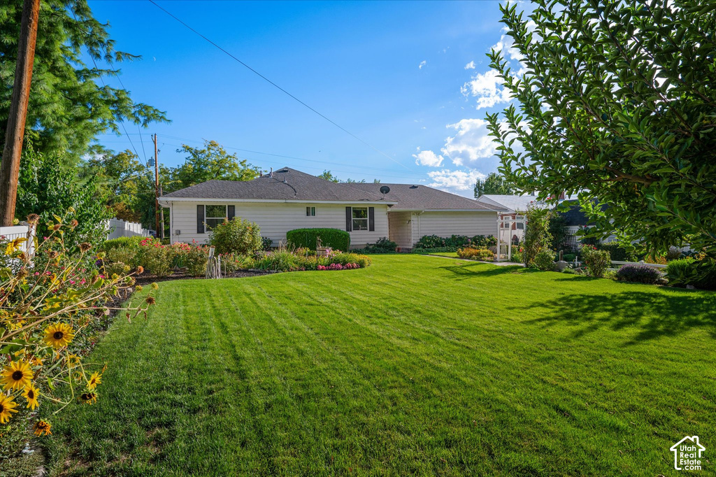 Expansive front lawn with mature trees and established landscaping