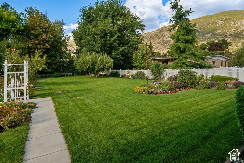 Expansive lawn space, established trees, concrete pathway, white privacy fencing, and mature landscaping