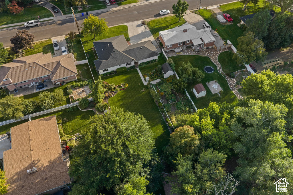 Expansive property featuring a large landscaped yard, paved walkways, a built-in trampoline, and mature trees