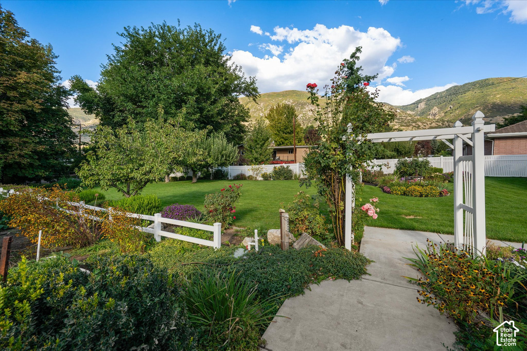Expansive lawn bordered by mature trees and shrubs, featuring a white fence, garden arbor, and paved walkway