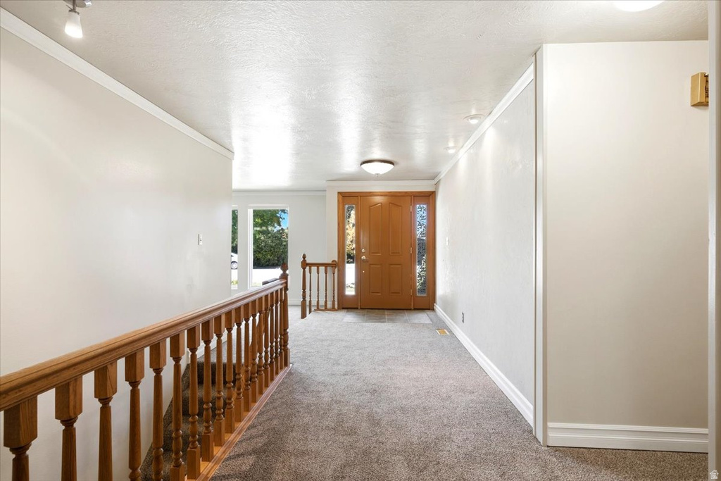 61 AMBER AVE photo 5