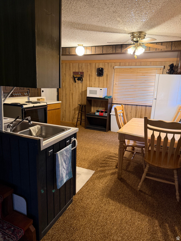 1052 MOUNT TABBY DR photo 5
